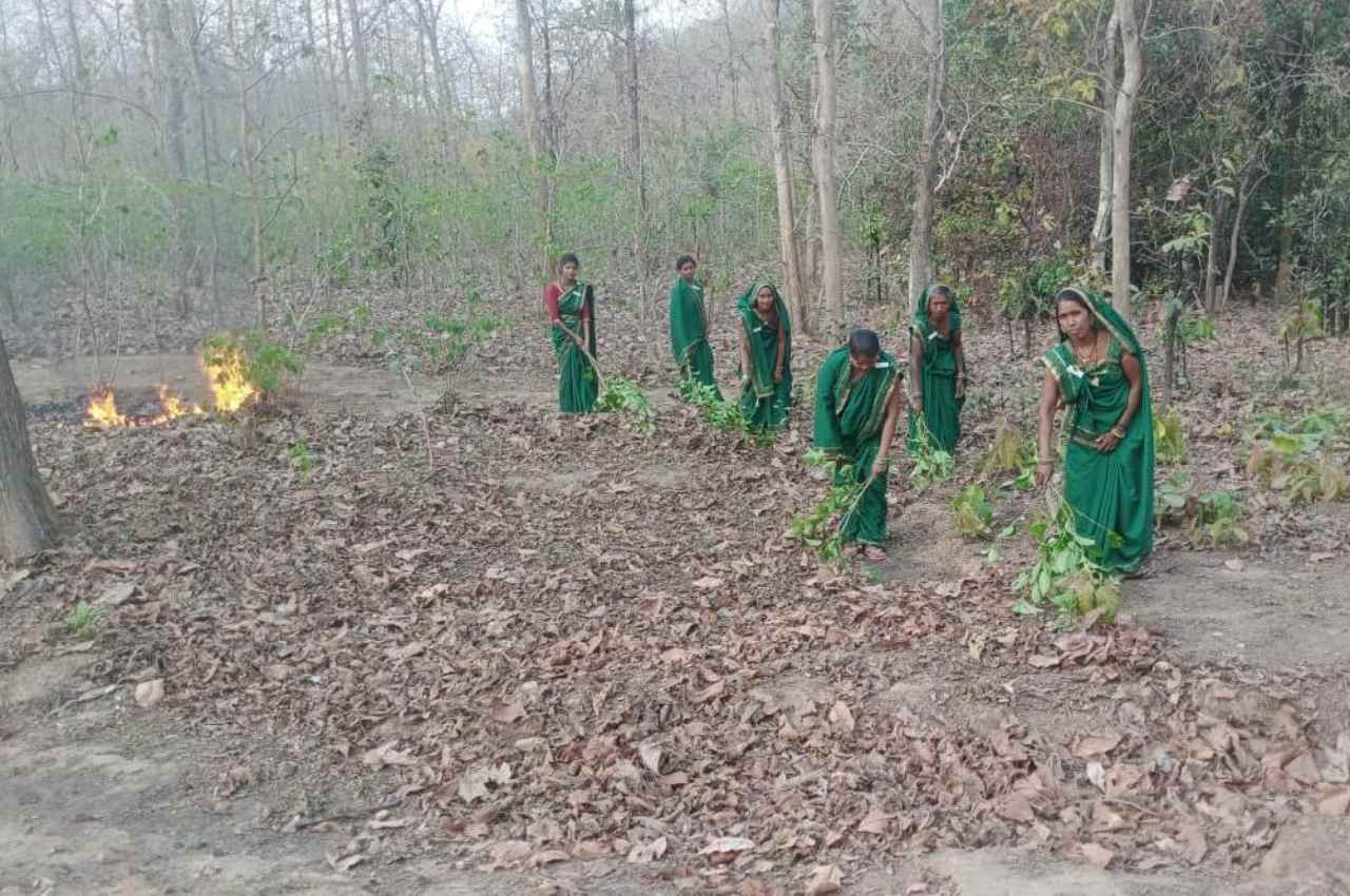 Women set an example to save the forest