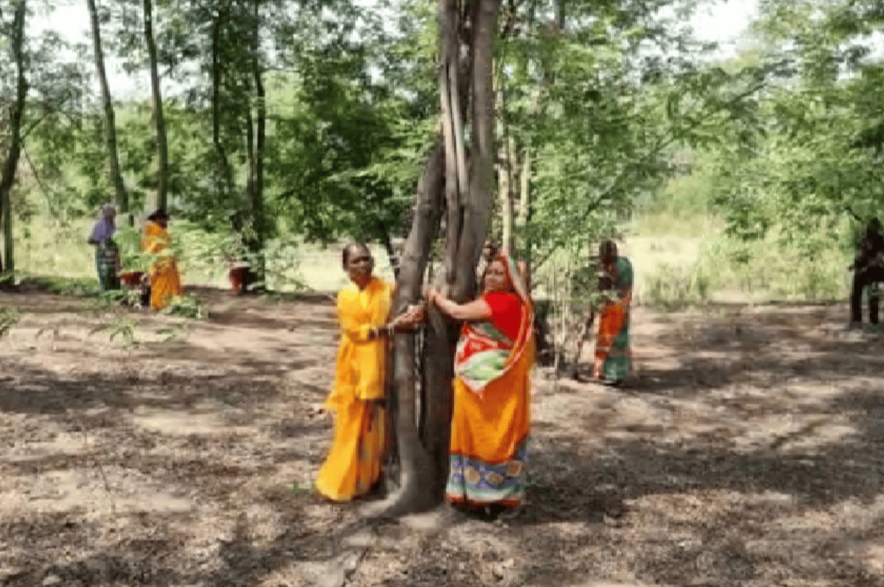 झारखंड में पर्यावरण प्रेमियों का अनोखा विरोध, कटने से बचाने के लिए पेड़ों से चिपक गई महिलाएं और बच्चे