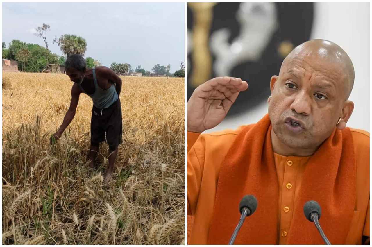 Gorakhpur News, CM Yogi Called meeting due to Crops Damaged Gorakhpur News, CM Yogi Called meeting due to Crops Damaged