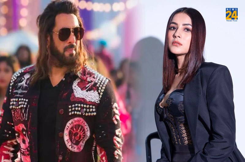 salman khan advised shehnaaz gill