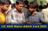 LIC ADO Mains Admit Card 2023