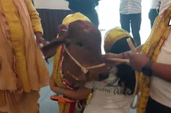 Lucknow Organic Restaurant, Cow, Lucknow News, UP Hindi News