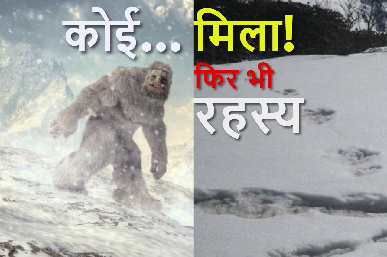 Mystery of yeti