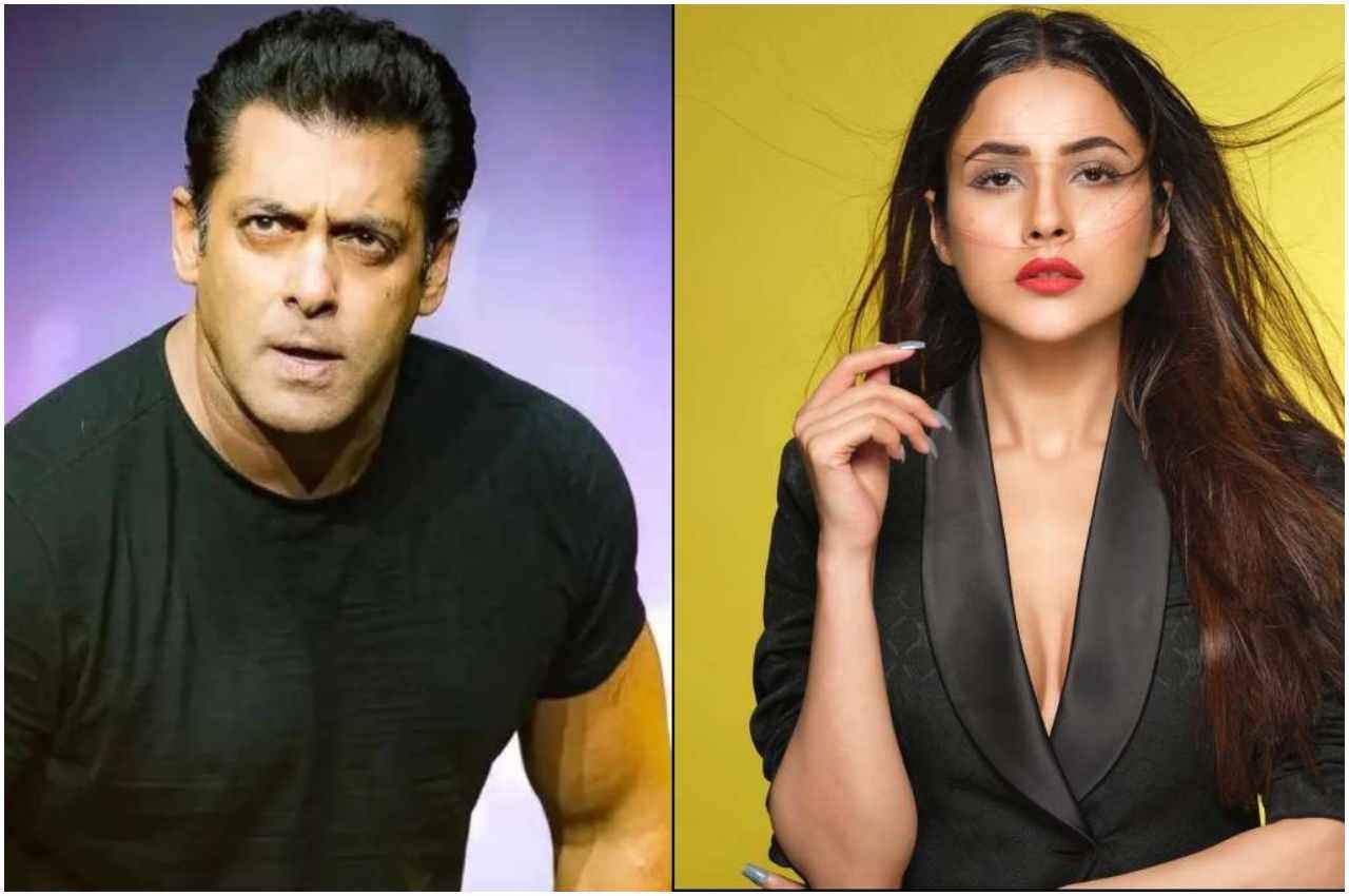 Salman Khan On Shehnaaz Gill Fans