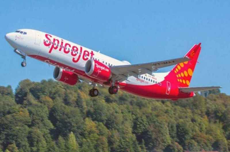 Spicejet Flight Bird Hits