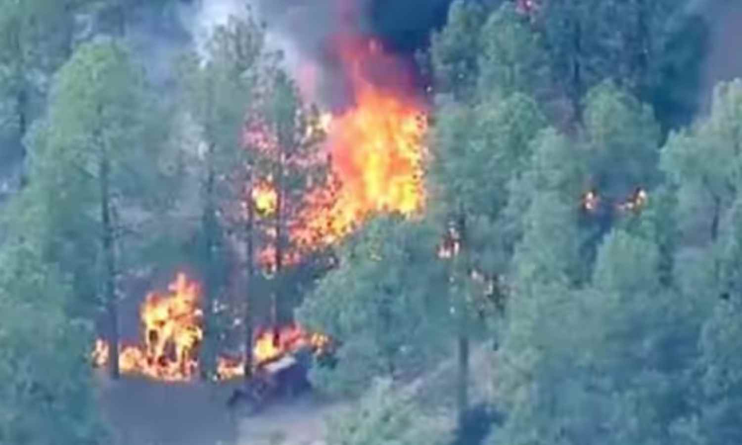 Surajpur Forest Fire