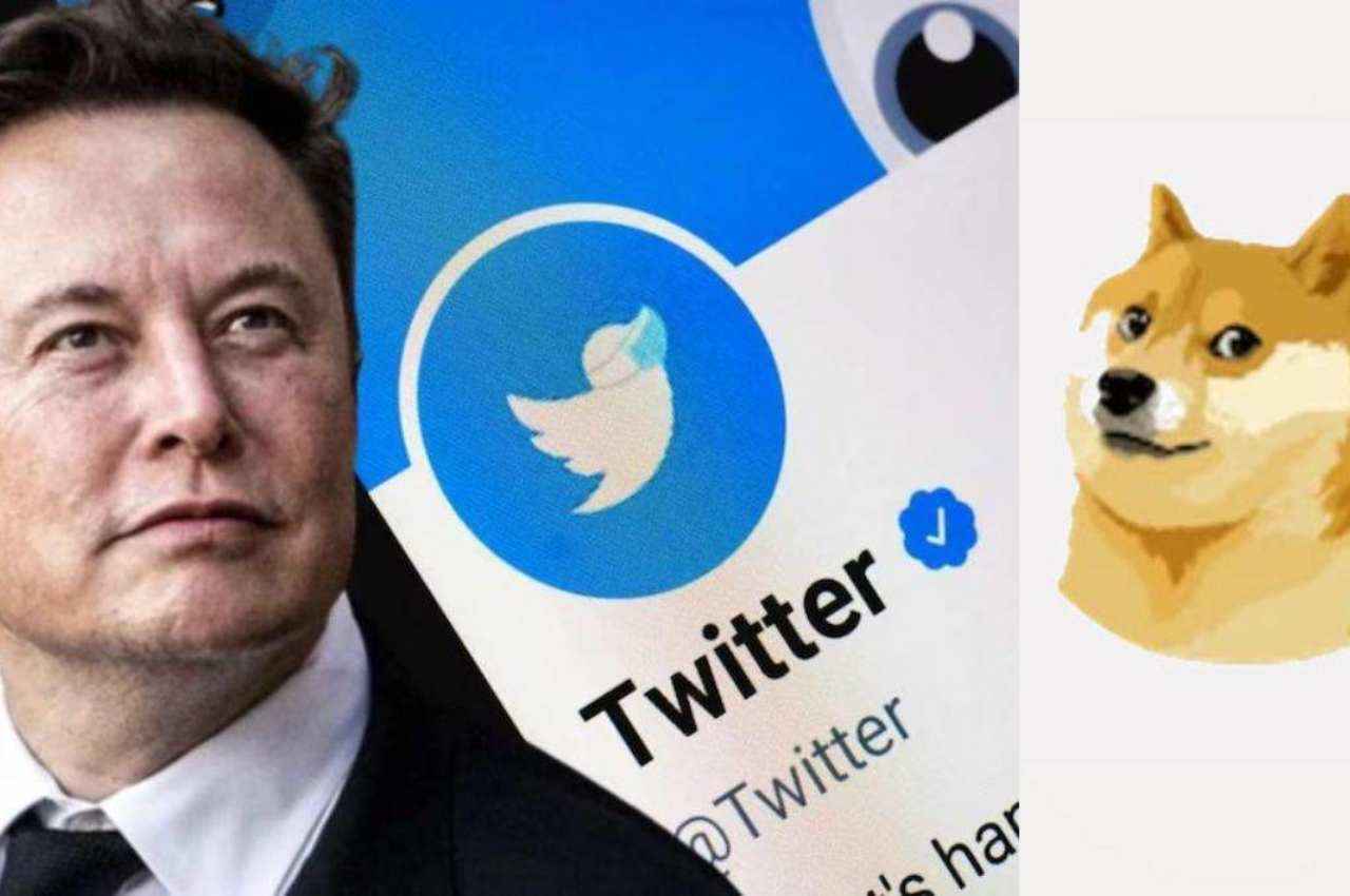 अब Twitter से भी पैसा कमा सकेंगे यूजर्स, Elon Musk ने ट्वीट कर दी जानकारी