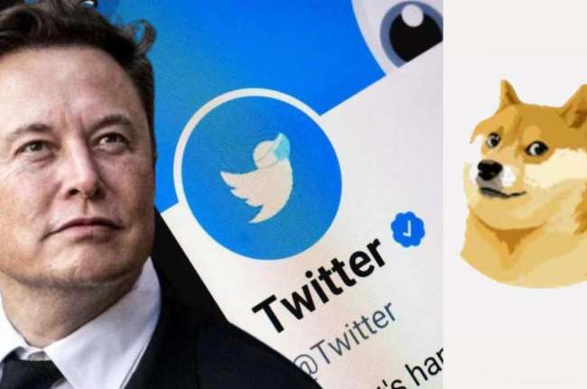 Ads Revenue Sharing, twitter, elon musk, gadget news, gadget news in hindi