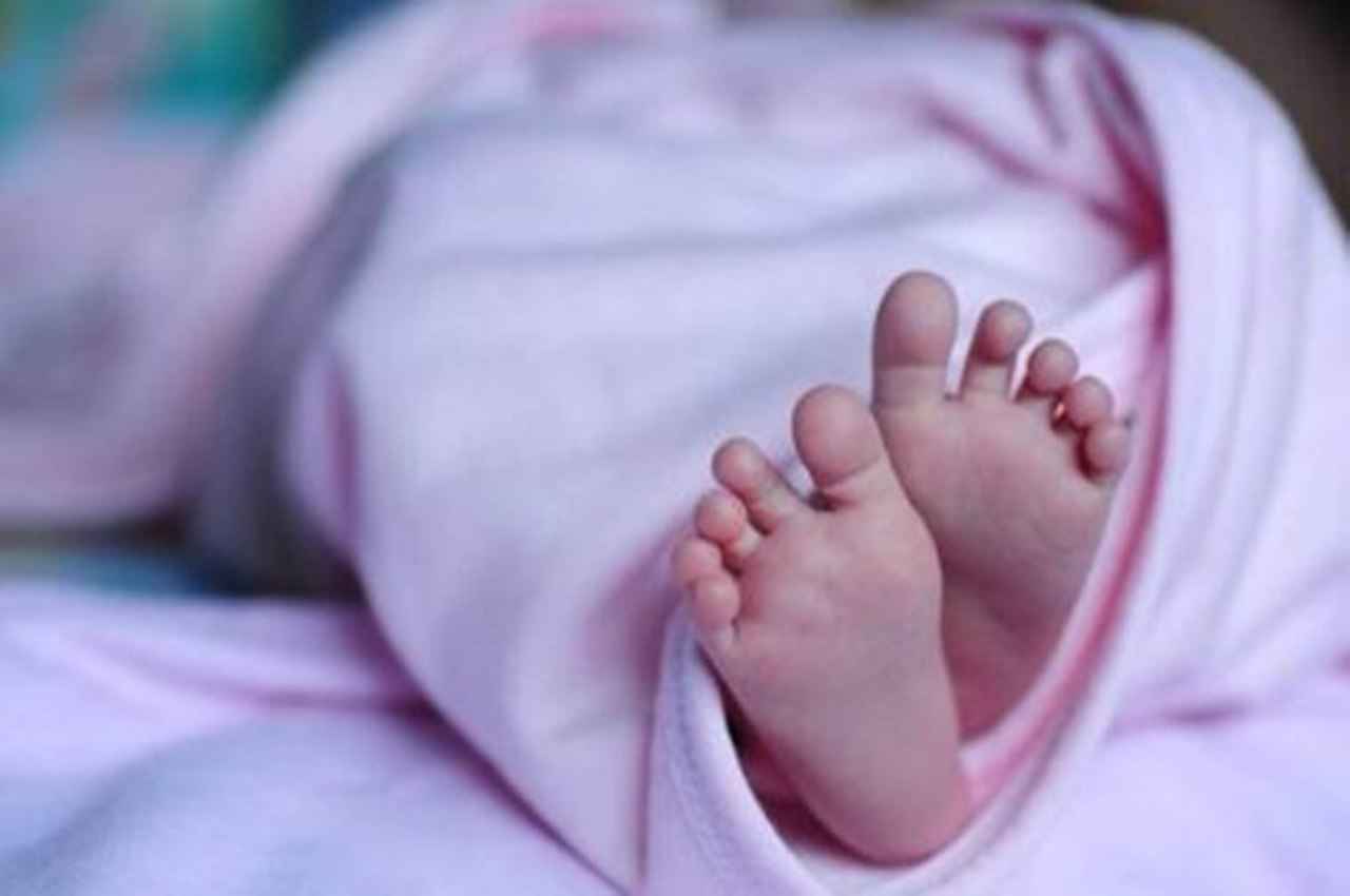 UP News, Greater Noida News, Crime News, Noida News, Uttar Pradesh Hindi News