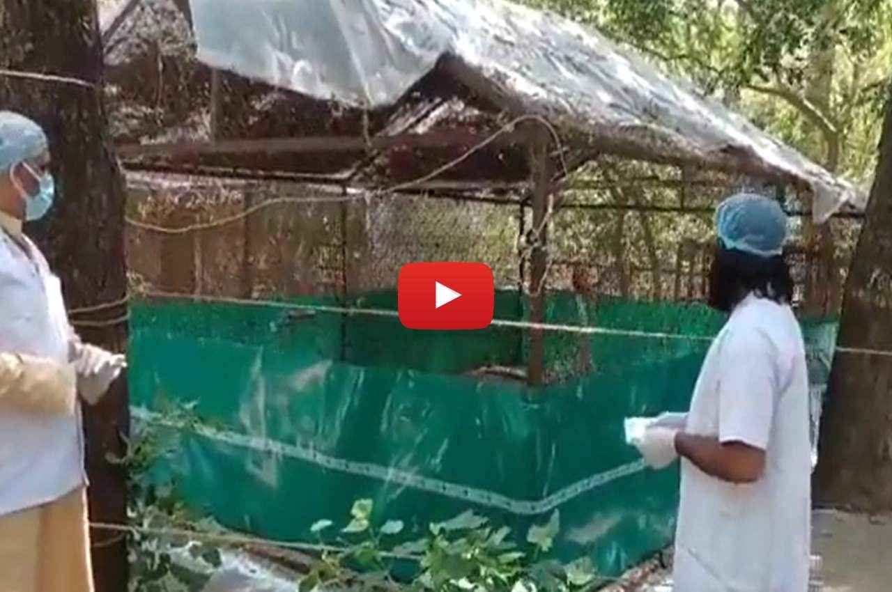 UP News, Kanpur News, Viral News, Amethi News, Uttar Pradesh News