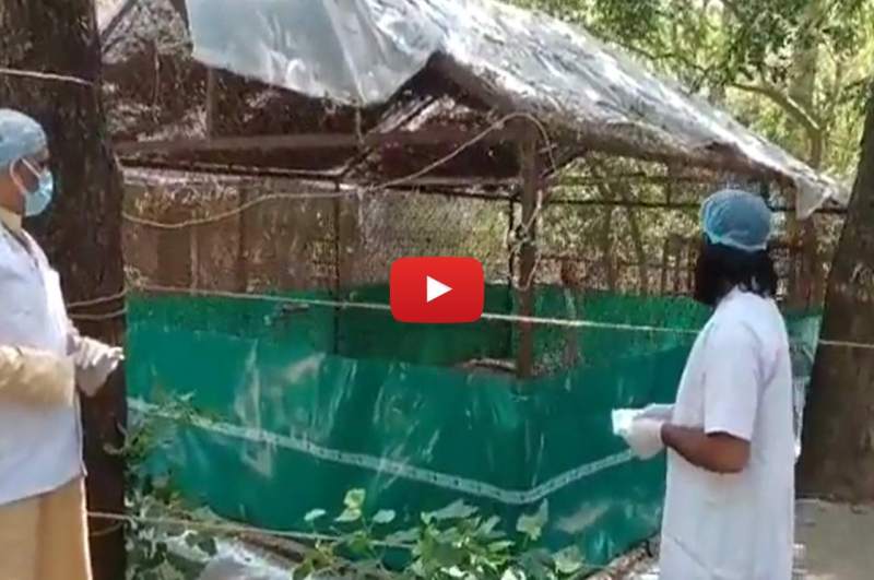 UP News, Kanpur News, Viral News, Amethi News, Uttar Pradesh News