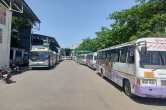 UP News, Lucknow News, City Bus Service, Uttar Pradesh News