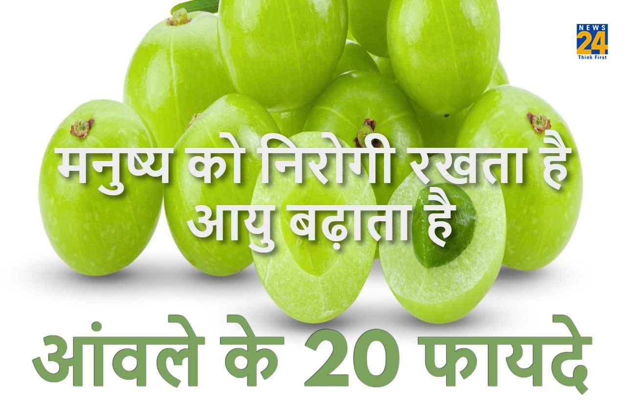 Benefits of Amla: मनुष्य को निरोगी रखता है और आयु बढ़ाता है आंवला, जानिए इसके 20 फायदे