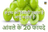 benefits of amla, Indian gooseberry