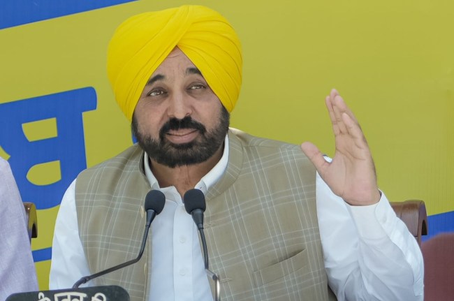 punjab news, bhagwant mann, punjab aap