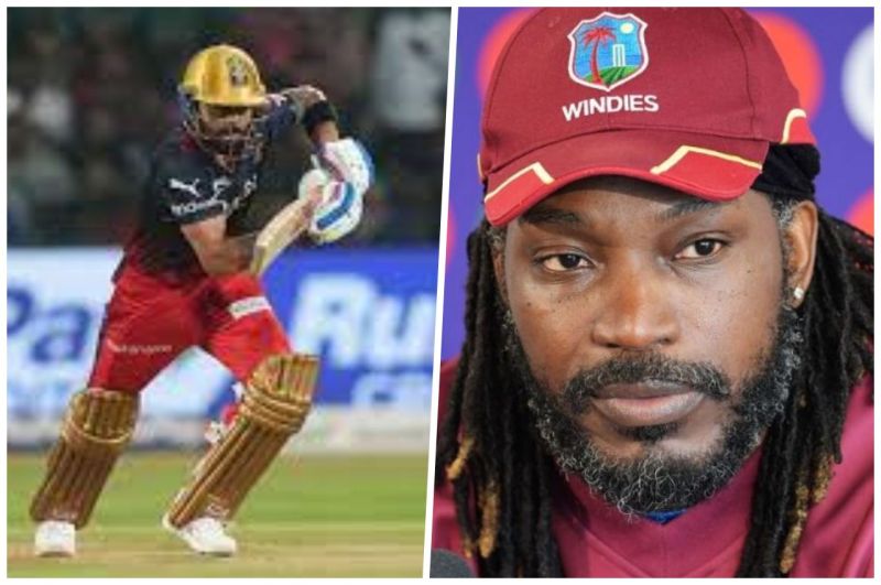 IPL 2023 Chris Gayle big prediction about Virat Kohli Faf du Plessis