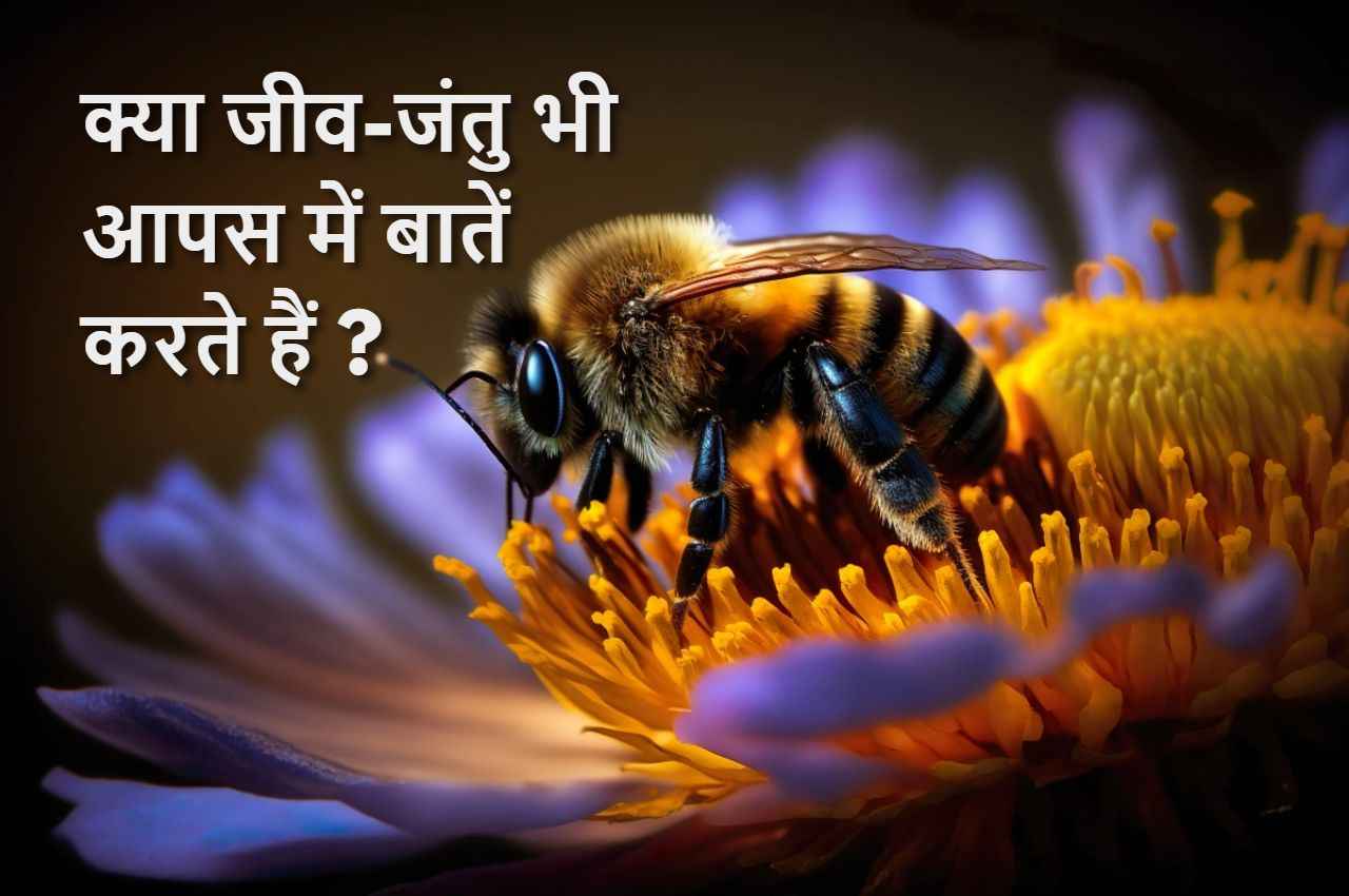 Science News: अध्ययन में दावा, जीव-जंतु भी करते हैं आपस में बातें