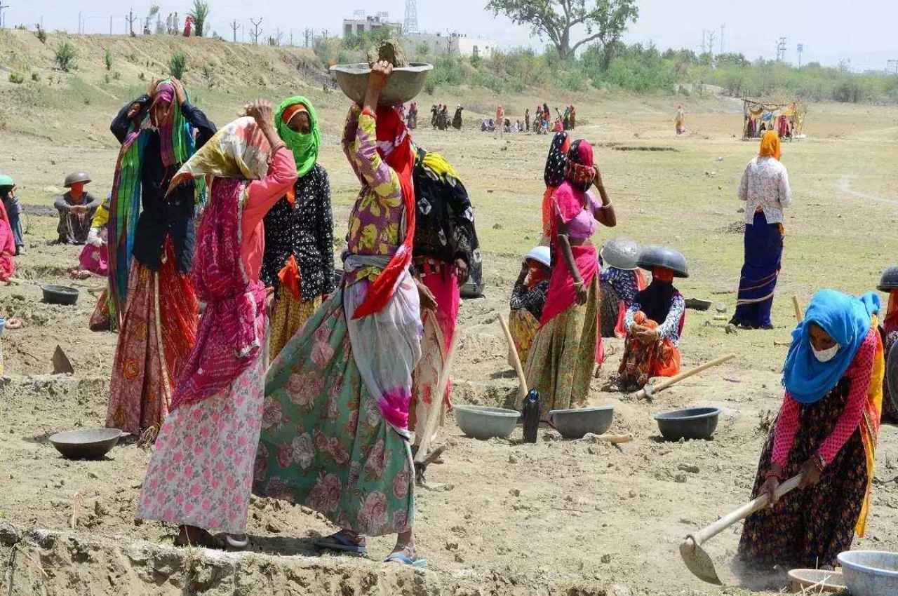 Chhattisgarh News in Hindi, MNREGA, Employment, Chhattisgarh News