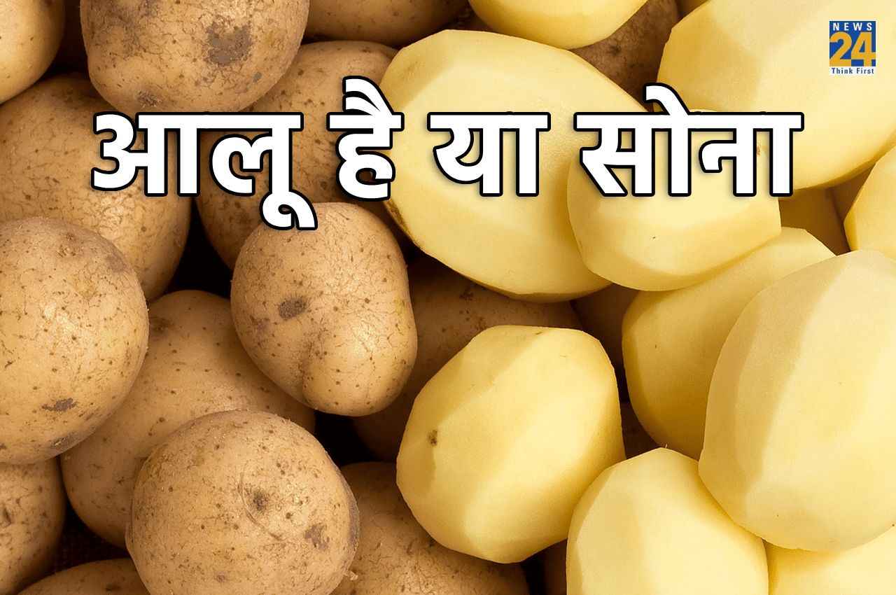 World most expensive potato: एक किलो की कीमत में आ जाए पूरे महीने का राशन, इतना महंगा हो गया है 'आलू'