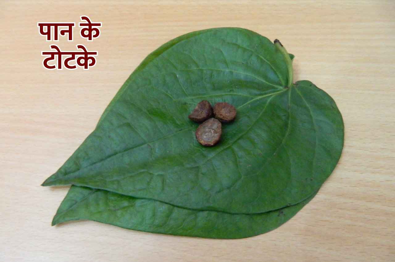 Paan ke Totke: पान के पत्तों से करें ये उपाय तो मिट जाएगा हर दुख, चिंता भी दूर होगी