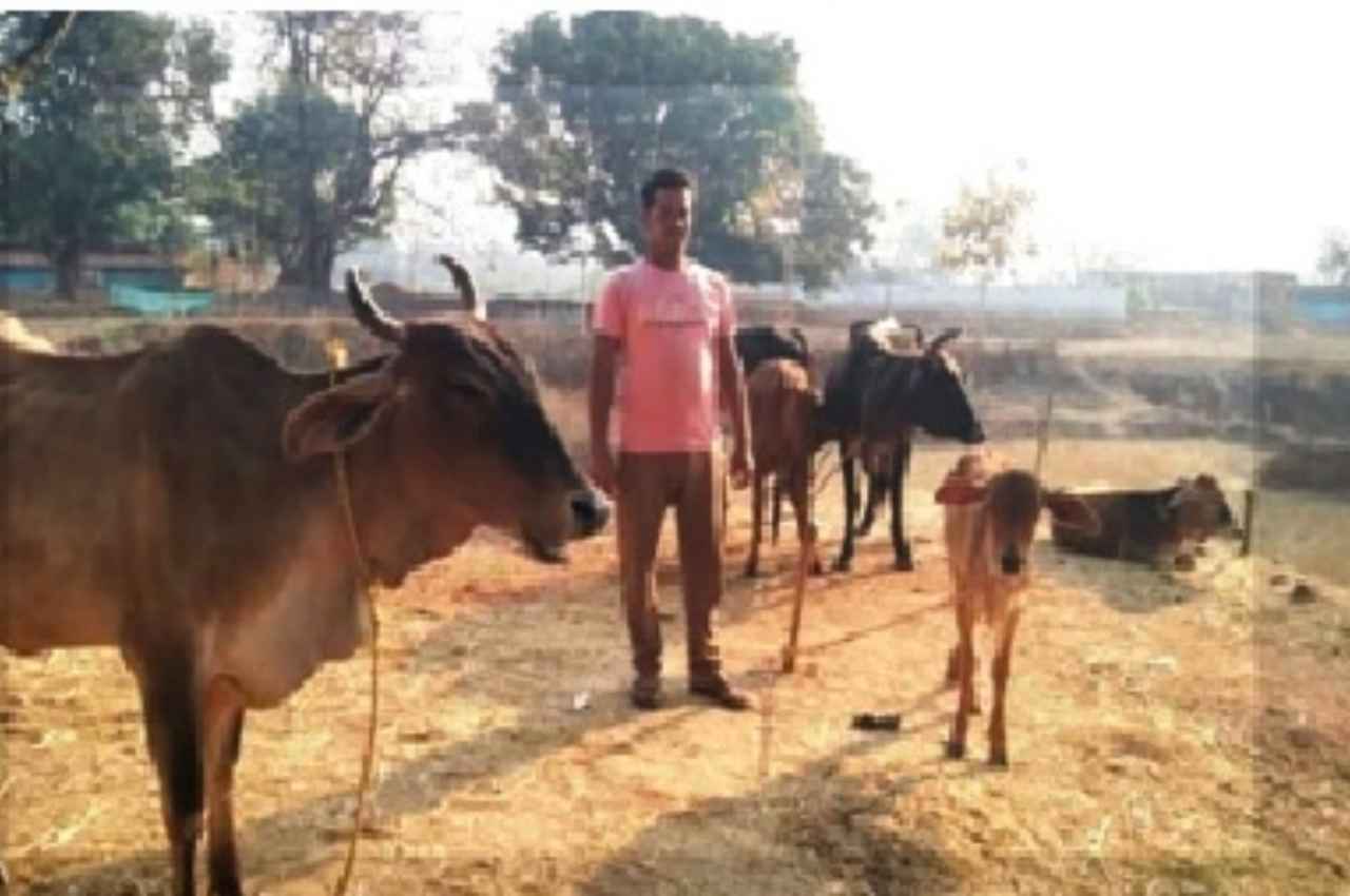 जशपुर: दुग्ध व्यवसाय एवं ब्रायलर फार्मिग से बदली जिंदगी, बनवाया खुद का पक्का मकान, मुख्यमंत्री भूपेश बघेल को दिया धन्यवाद