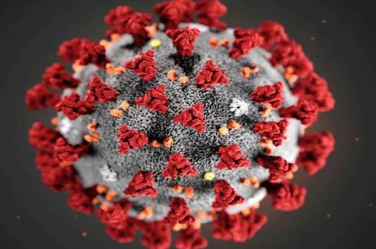 Corona virus