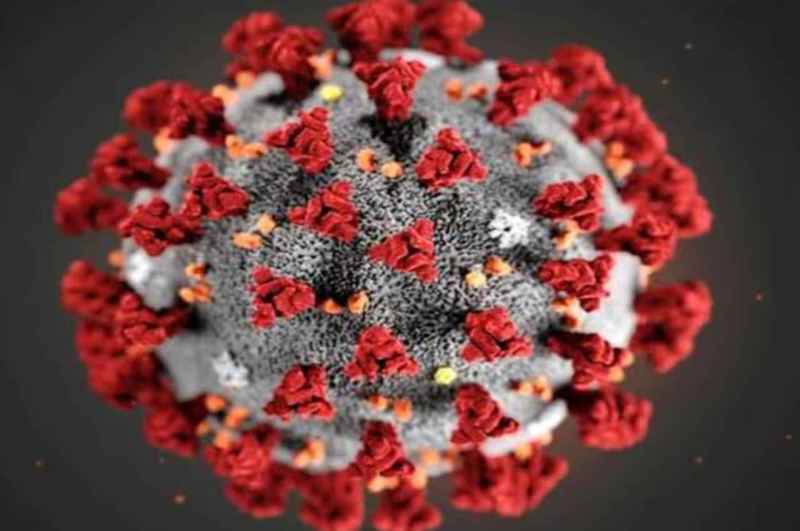 Corona virus