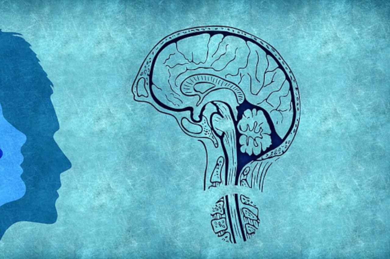 science news, science news in hindi, brain health, health news, health news in hindi,