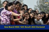 Goa Board HSSC Result 2023