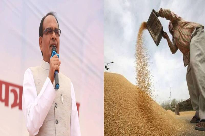 Madhya Pradesh Farmer