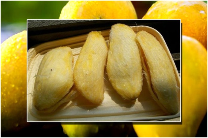 Mango Kernels Health Benefits