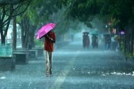 Monsoon 2023, Monsoon 2023 Kerala, IMD Alert on Mansoon, Mansoon