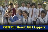 PSEB 10th Result 2023