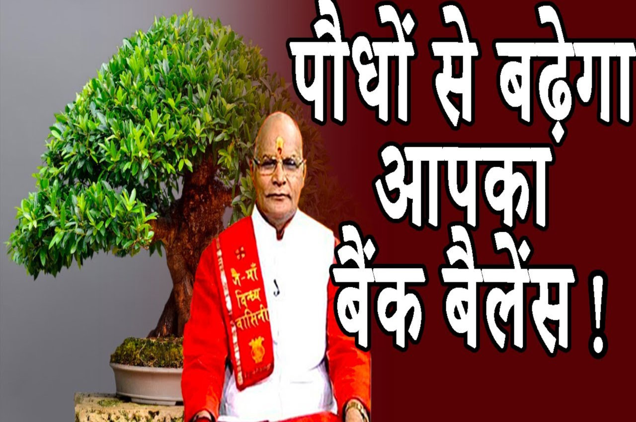 kaalchakra, pandit suresh pandey, vastu dosh, vastu tips, vastu tips in hindi