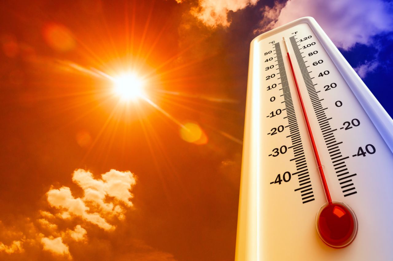 Punjab News, Punjab News, Heat Wave, Punjab Health Department, Health Advisory