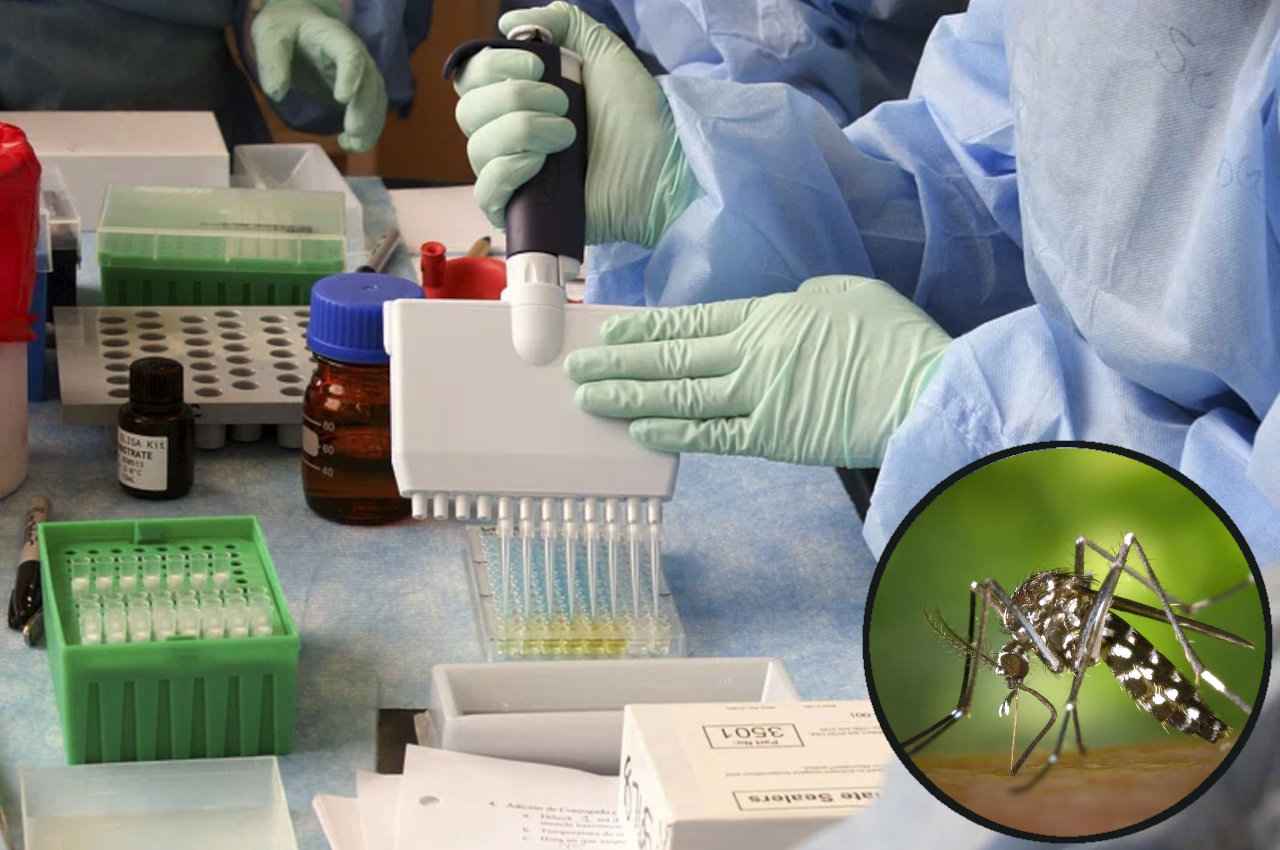 Scientific research on mosquitoes Science news, science news hindi, science news in hindi, Health news,