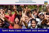 Tamil Nadu Class 11 result 2023