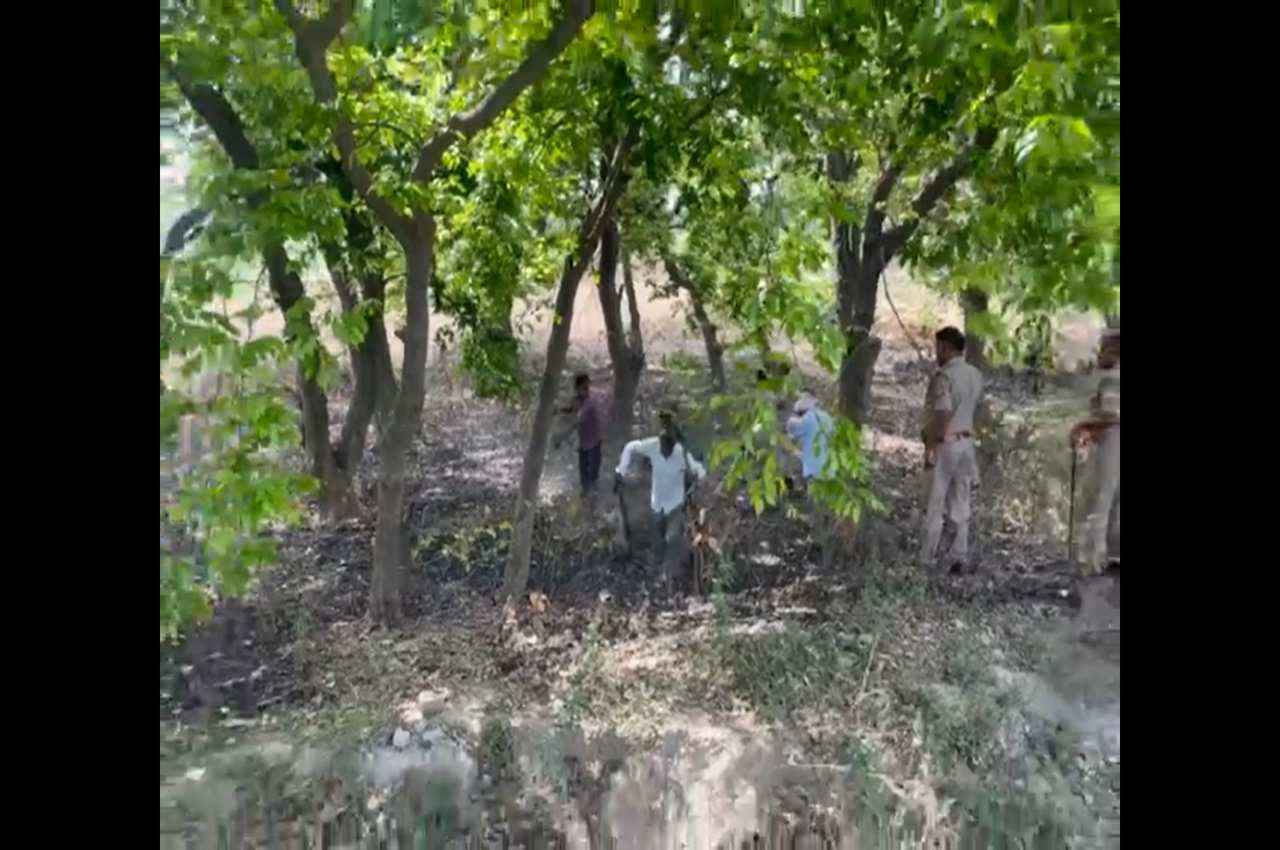 UP News: हापुड़ में एक साथ 40 बंदरों की मौत, जांच में जुटी वन विभाग की टीम