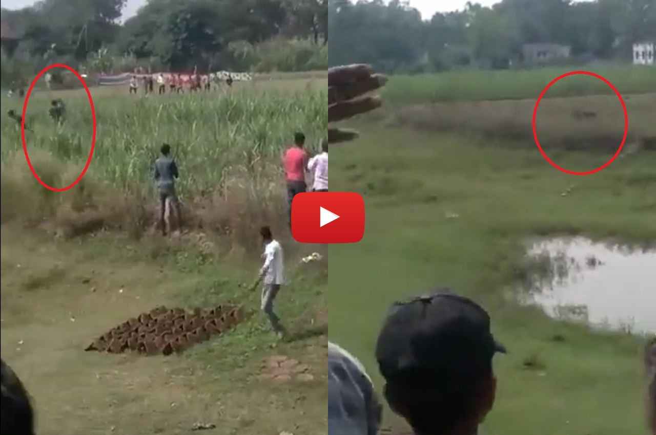 UP News: पीलीभीत में तेंदुए ने किसान पर किया जानलेवा हमला; कैमरे में कैद हुआ आदमखोर, Video