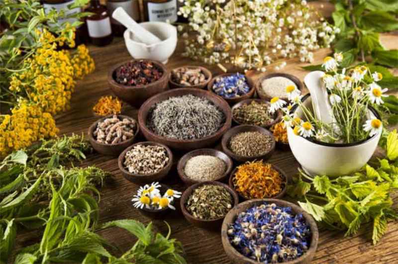 Uttarakhand Weather, Snowfall in Uttarakhand, Uttarakhand Herbs, Apple Farming, Uttarakhand News