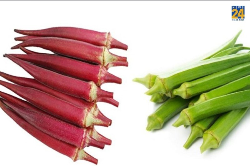 Benefits Of Okra