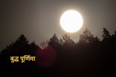 Jyotish tips, buddha purnima, purnima ke upay, dharma karma,
