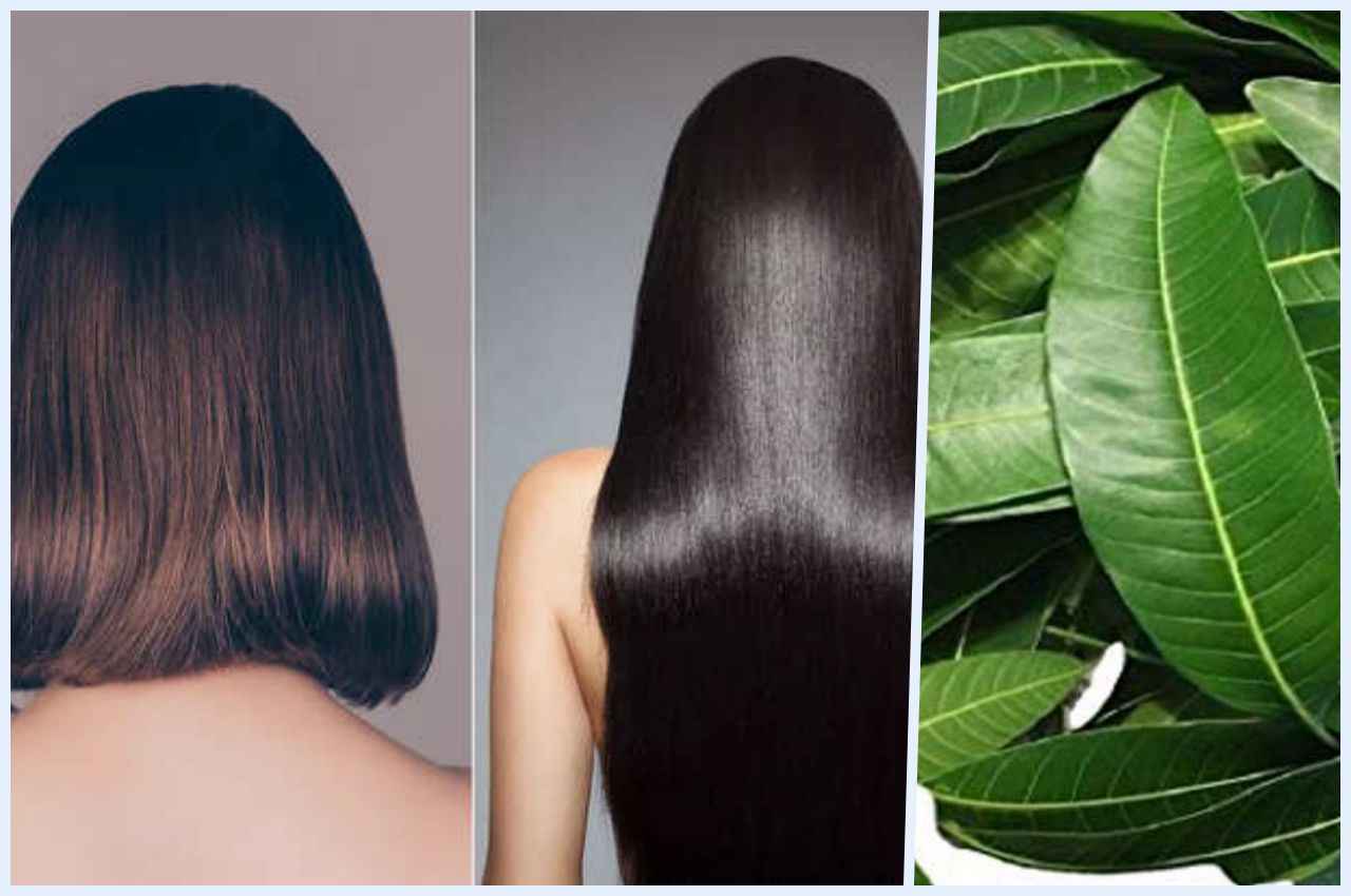Hair Growth TIPS: बालों की तेजी से ग्रोथ करता है ये नुस्खा, बस हफ्ते में 2 बार ऐसे करें यूज