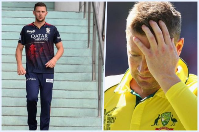 Josh Hazlewood Josh Hazlewood