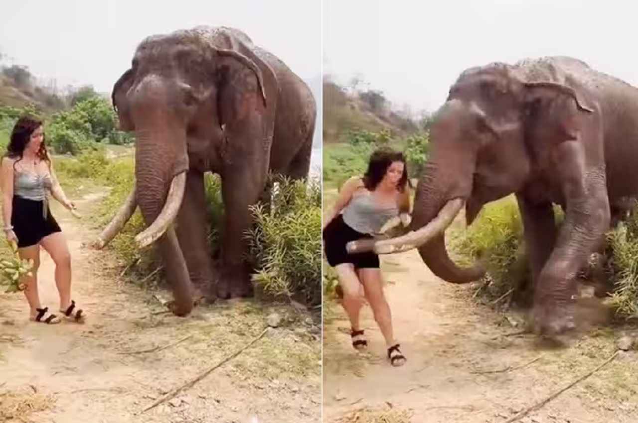 Viral Video: महिला को हाथी से मजाक करना पड़ा भारी, मिली तगड़ी सजा