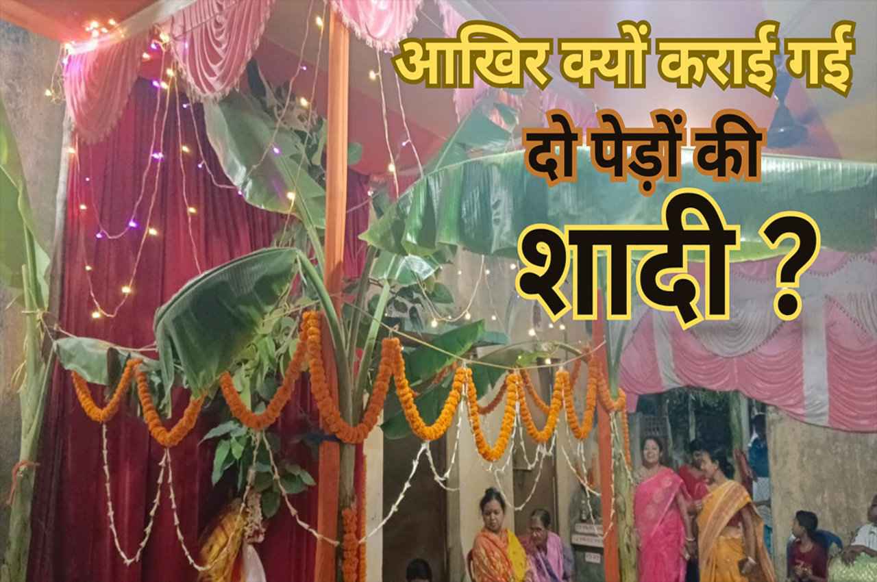 Tree Marriage Video: आसनसोल में हिंदू रीति-रिवाज से दो पेड़ों की शादी, 64 साल के बुजुर्ग ने कायम की मिसाल