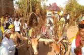 tribal youth traditional bullock cart