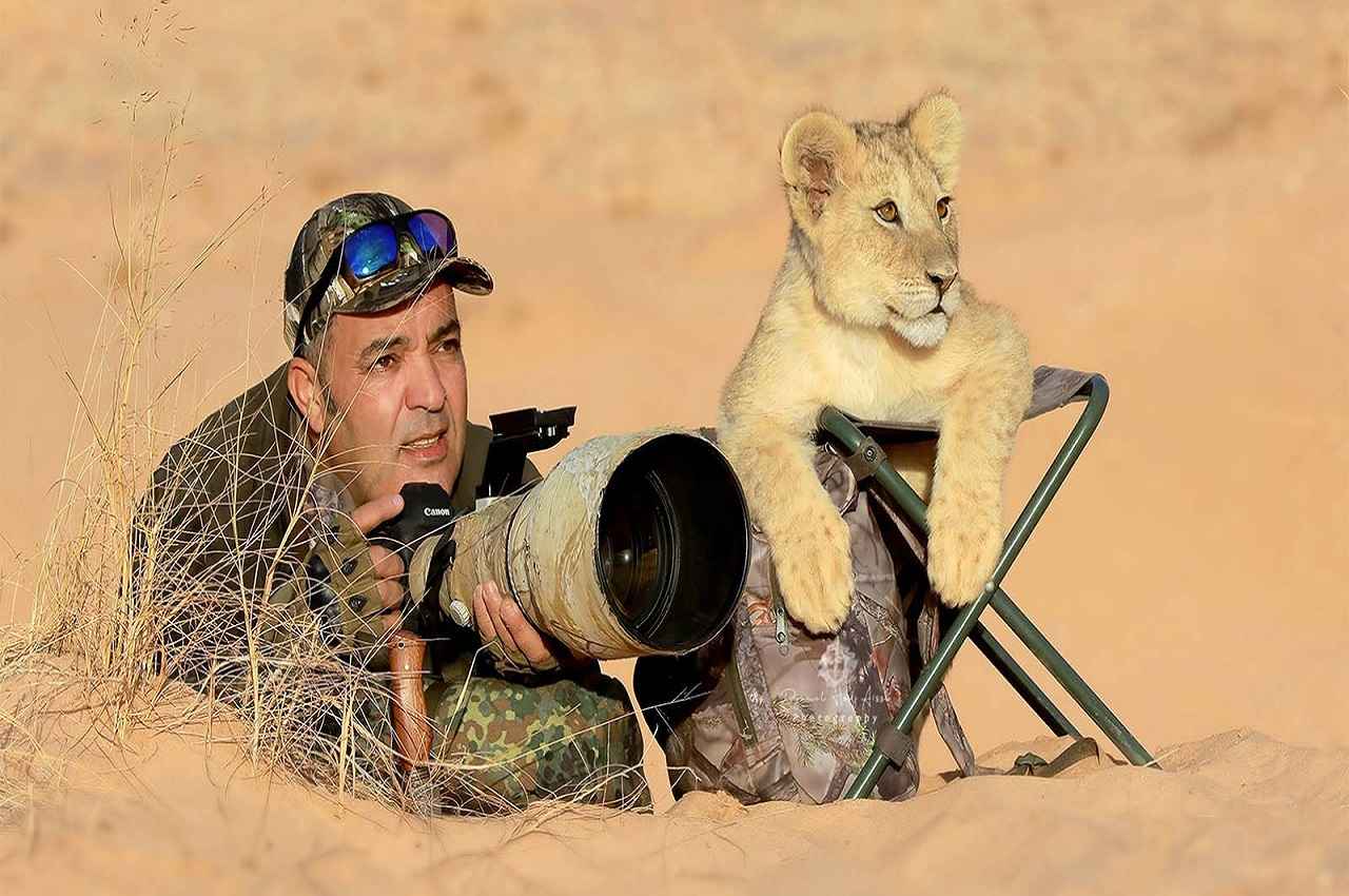 wild life