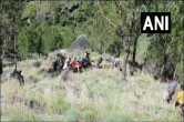 Accident in Himachal, Shimla Accident, Himachal Accident, Himachal News, Himachal Pradesh News