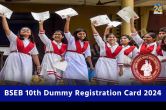 BSEB 10th Dummy Registration Card 2024